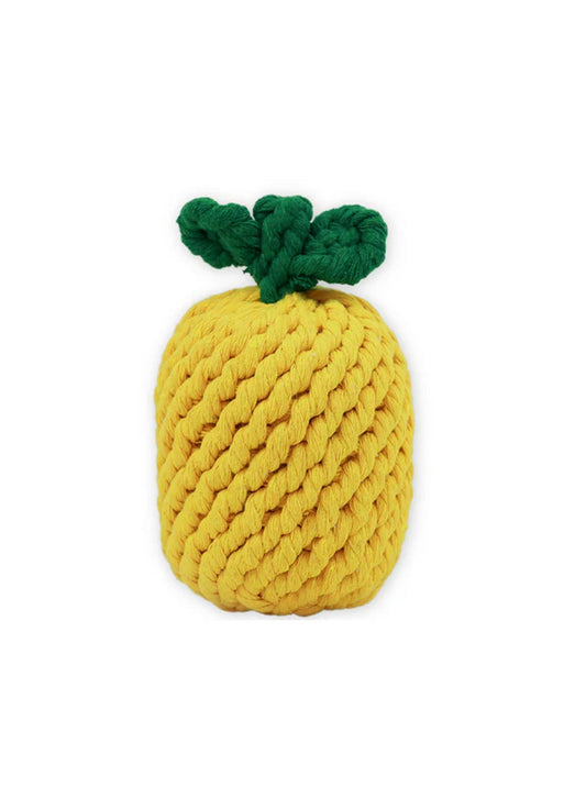 PINEAPPLE PET ROPE TOY