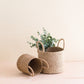 S/2 Natural Tabletop Mini Basket with Handle