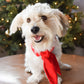 WINTER NECKTIE
