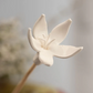 African Flower Diffuser Sticks