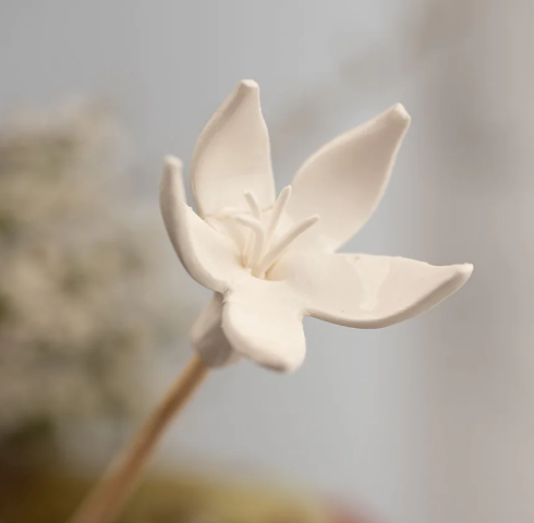 African Flower Diffuser Sticks