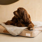 Brigette Romanek | Luxury Pet Throw Blanket - Cream