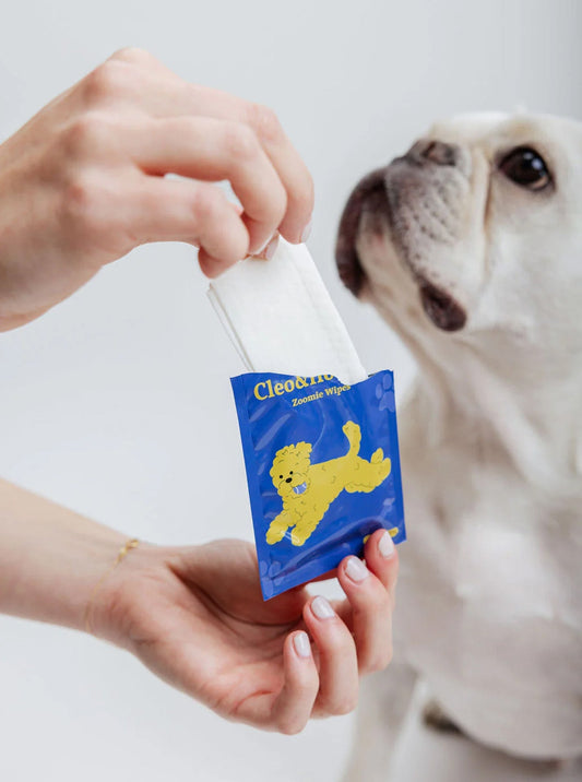 ZOOMIE WIPES by Cleo & Hooman