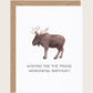 Amy Zhang - Cards + Stickers