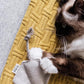 STINGRAY CAT TOY