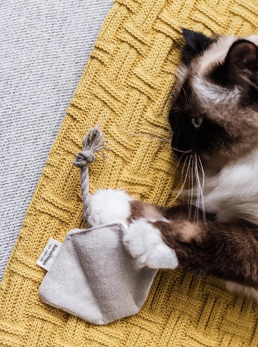 STINGRAY CAT TOY