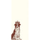 ROYAL DOG LONG PADS