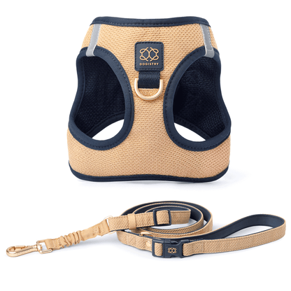 City Leash Set - Hamptons