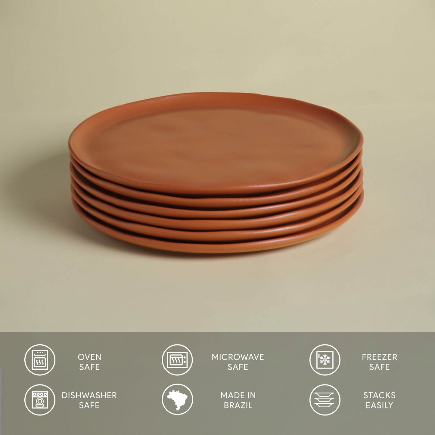 Dinner Plate Set of 6