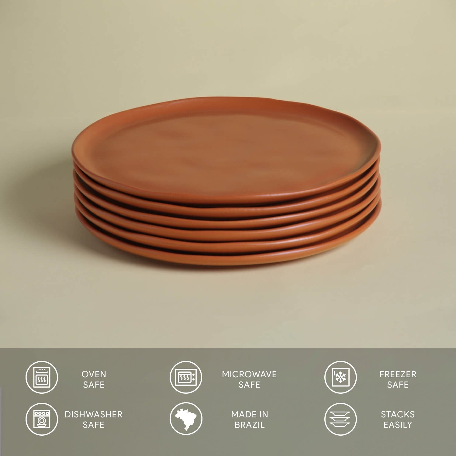 Dinner Plate Set of 6