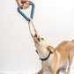 TRIANGLE TUG TOY by Wild One