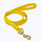 CLASSIC BRASS LEASH by High Tail Hikes