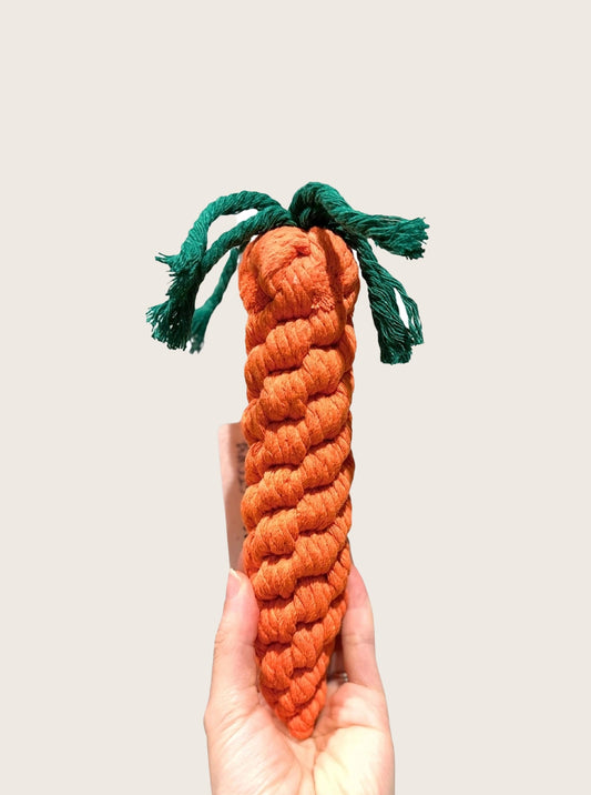 CARROT DOG ROPE TOY