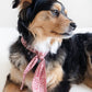 ADVENTURE NECKTIE