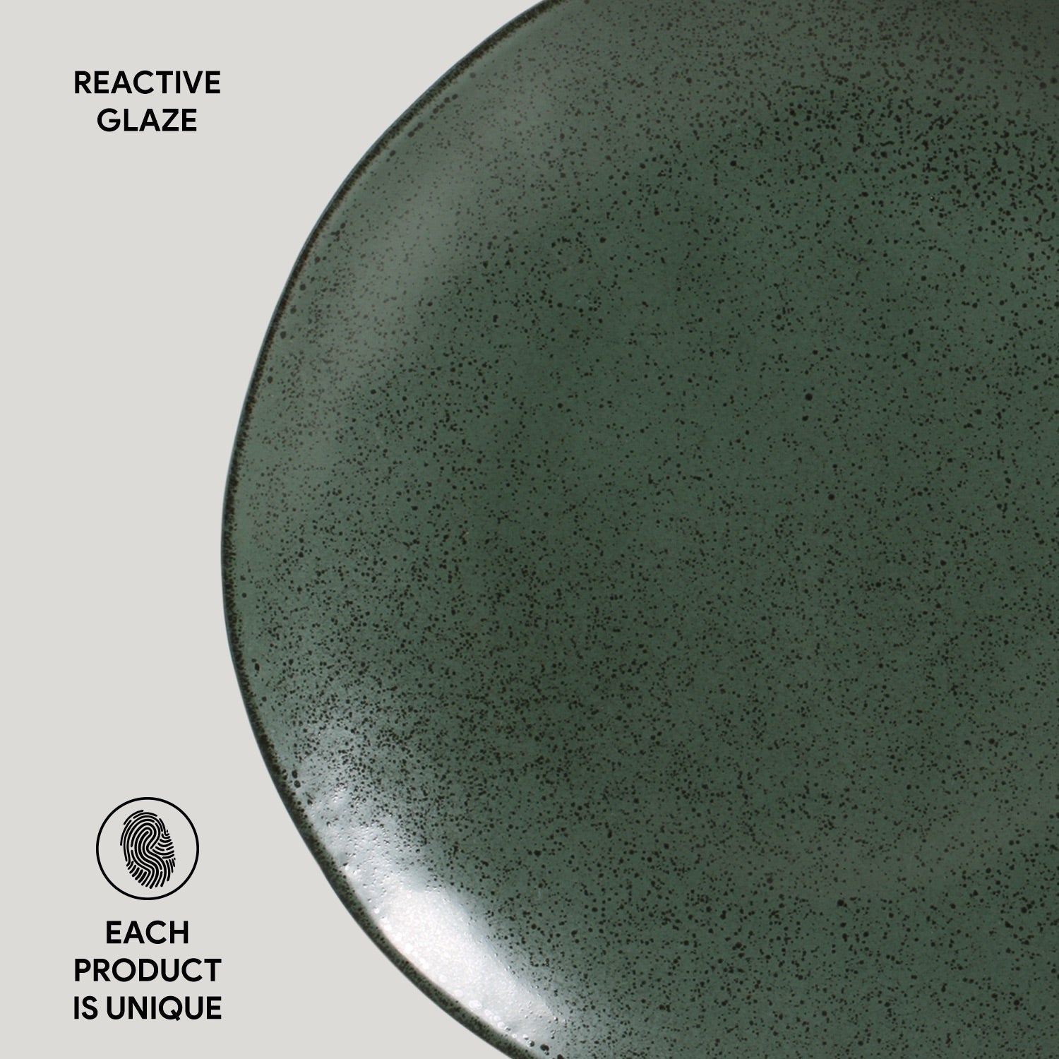 Dinner Plate Set of 6