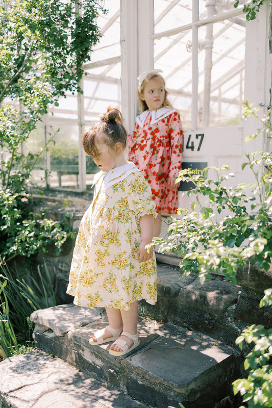 The Garden Dress- Heirloom Rose