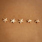 Wooden Star Ornament