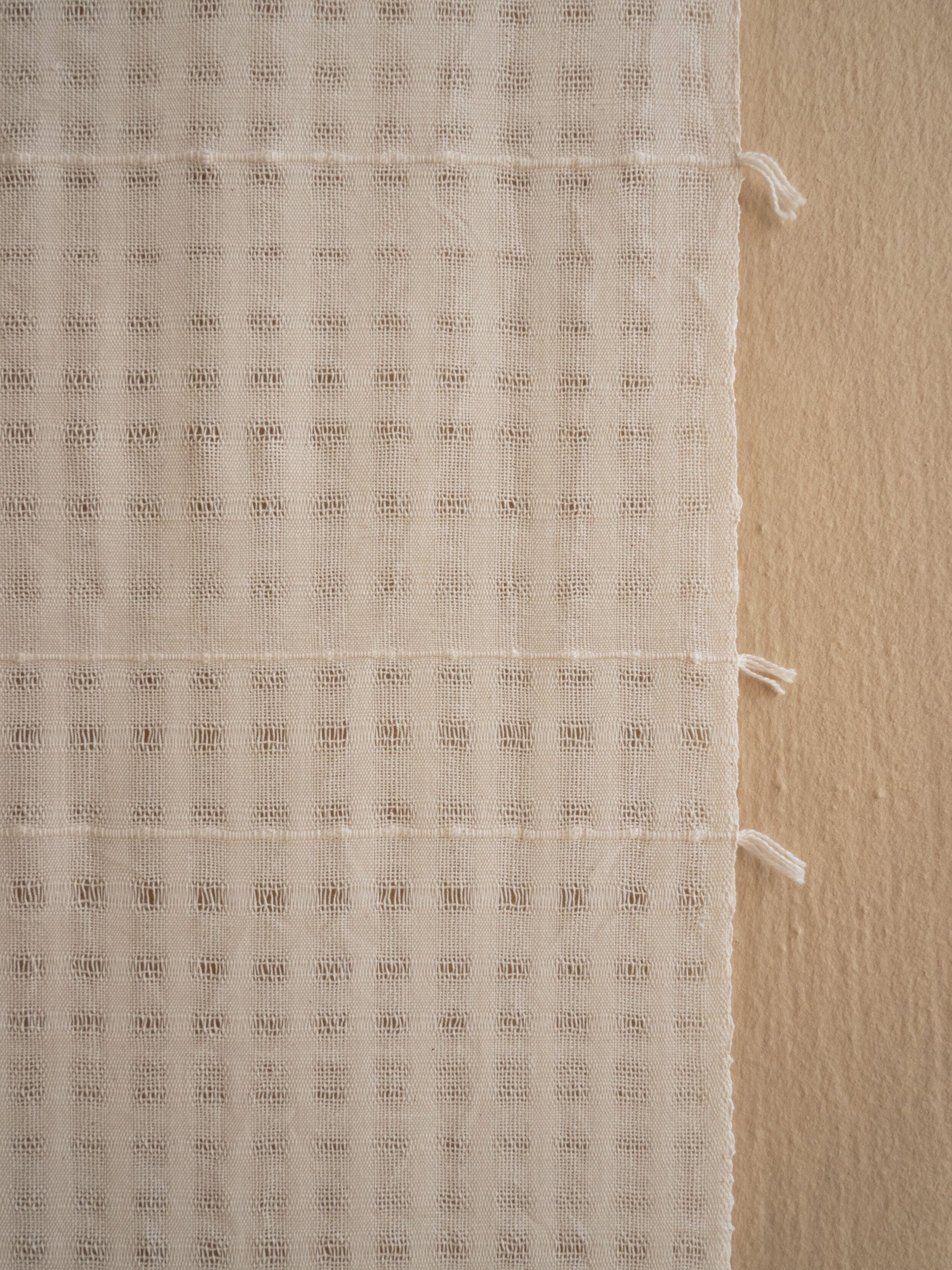 Chiaro Handwoven Cotton Wall Hanging