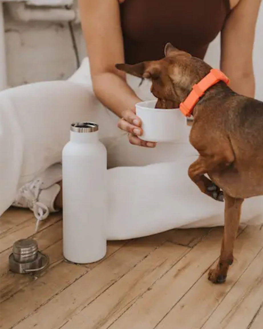 DOG & ME WATER BOTTLE