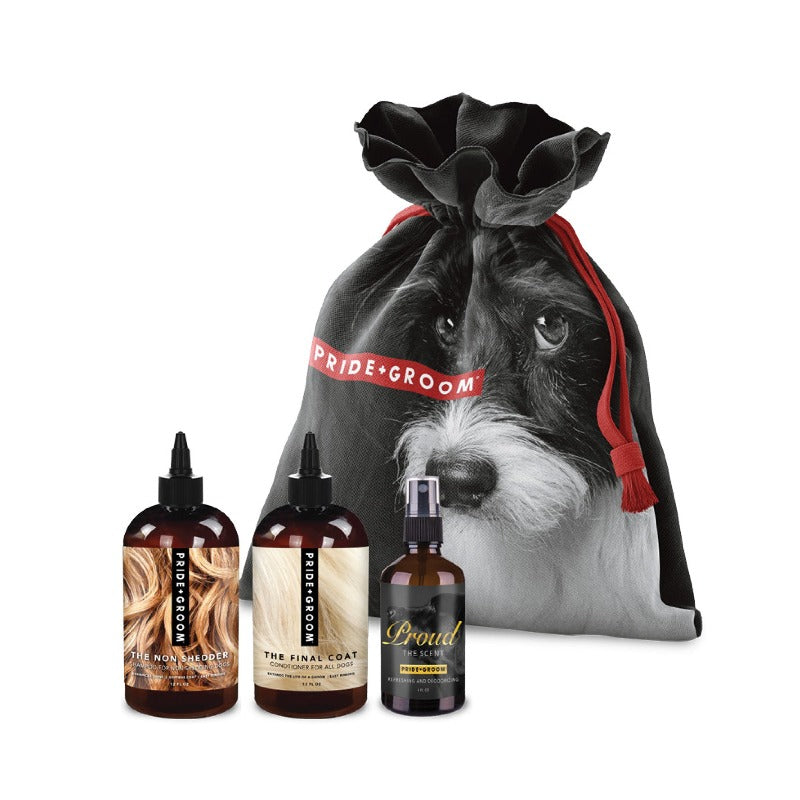 THE SMALL DELUXE DOGGY BAG