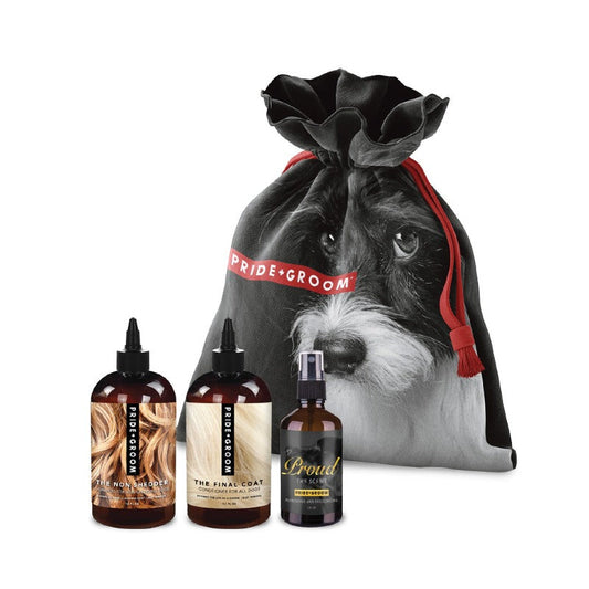 THE SMALL DELUXE DOGGY BAG