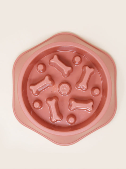SLOW FEEDER BOWL