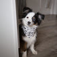 ADVENTURE BANDANA