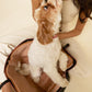 THE VEGAN PET TOTE by Caraa