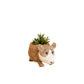 Baby Corgi Succulent Pot - Handmade Planters | LIKHÂ