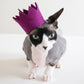 BRIGHT PARTY CROWNS