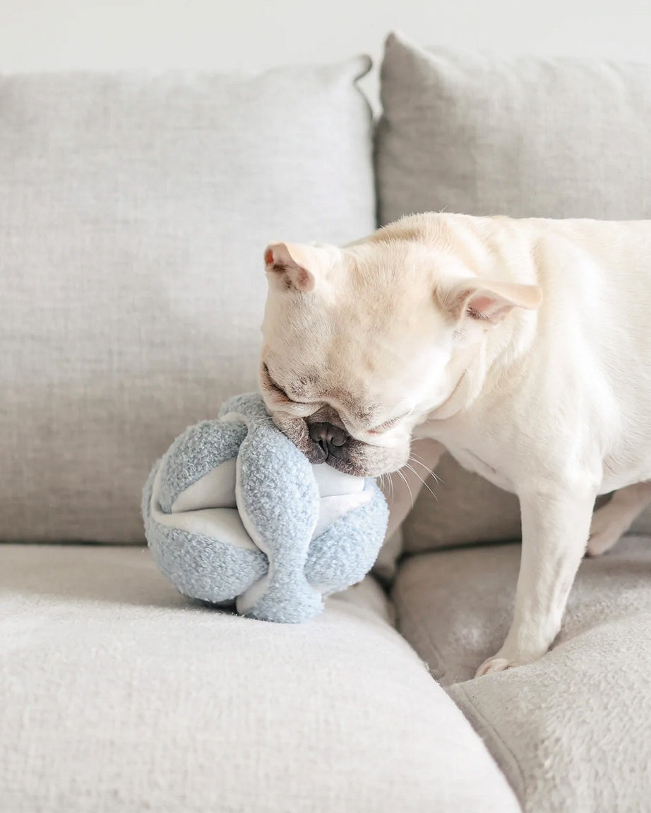 MONTI by Lambwolf Collective