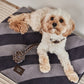 Kaya Dog Blanket Black - Large