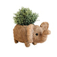 Elephant Plant Pot
