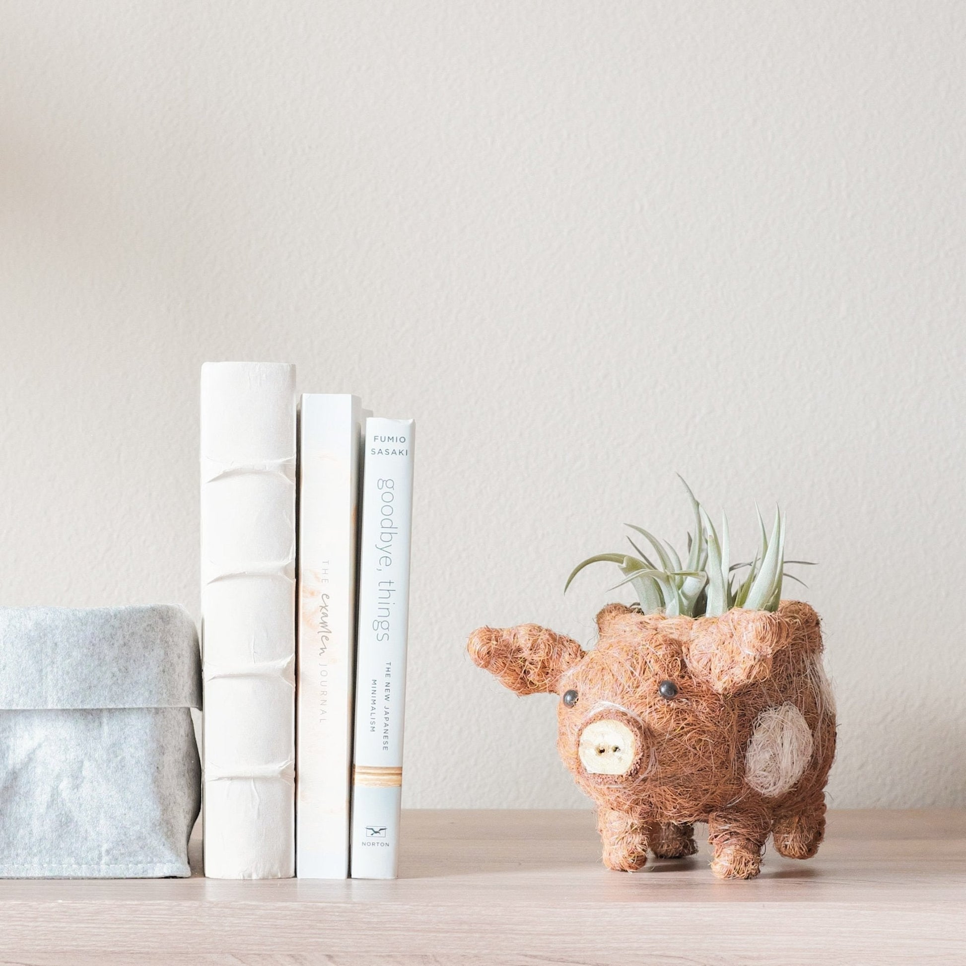 Baby Pig Succulent Pot - Handmade Planters | LIKHÂ