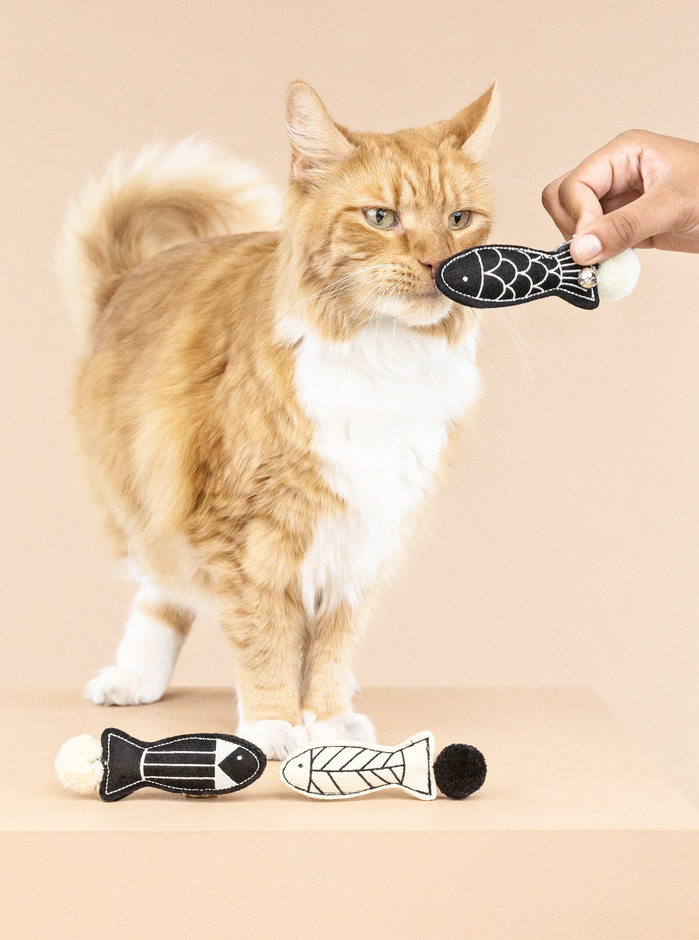 OFF THE SCALES by Fringe Studio