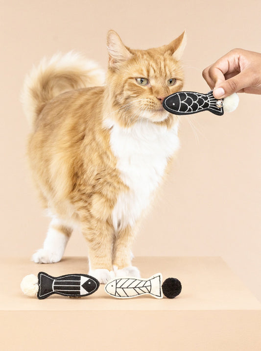 OFF THE SCALES by Fringe Studio