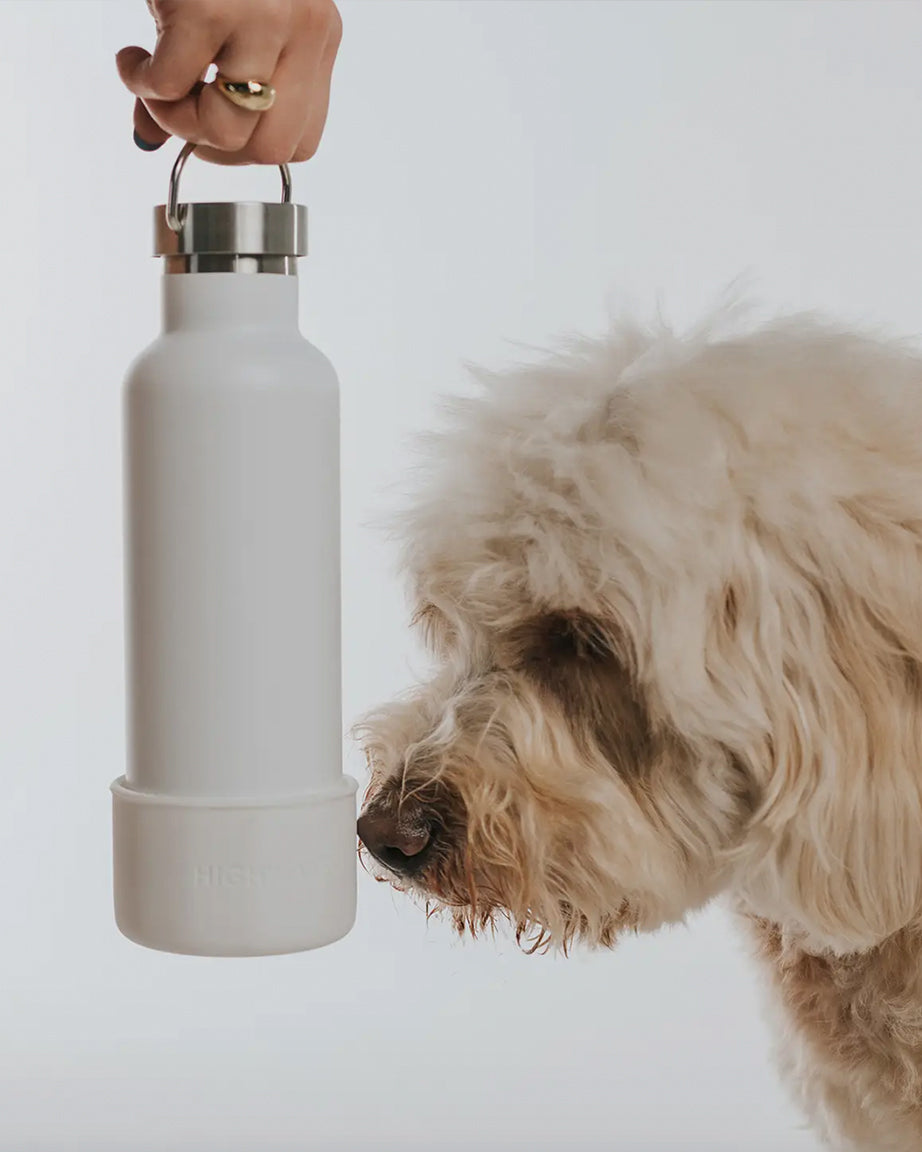 DOG & ME WATER BOTTLE