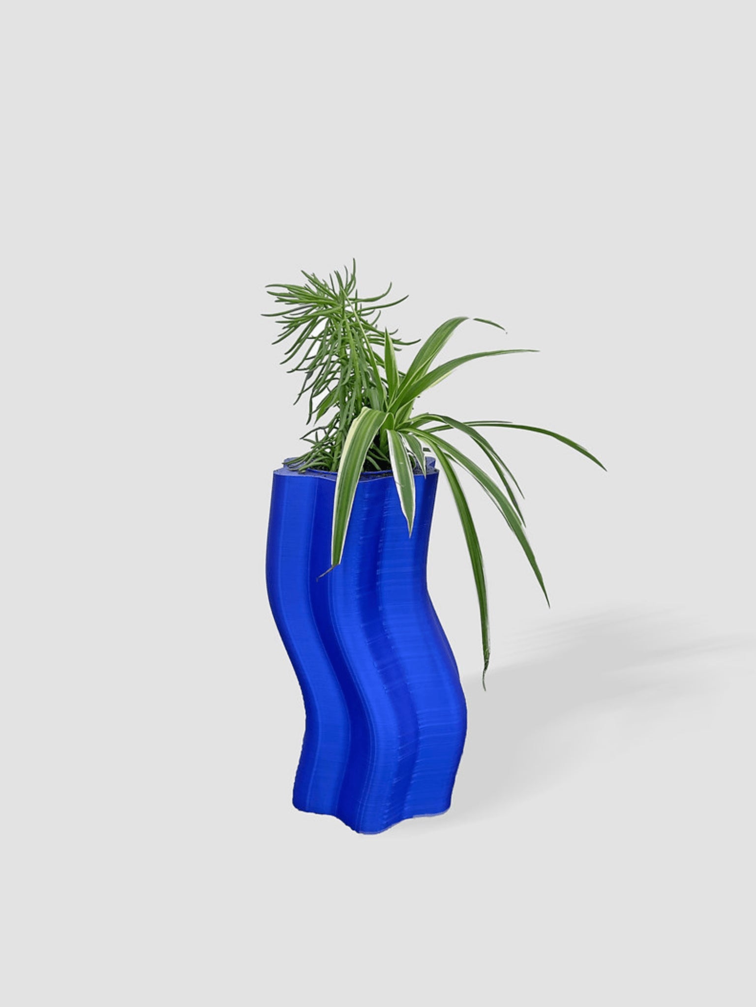 Frosting Large Planters