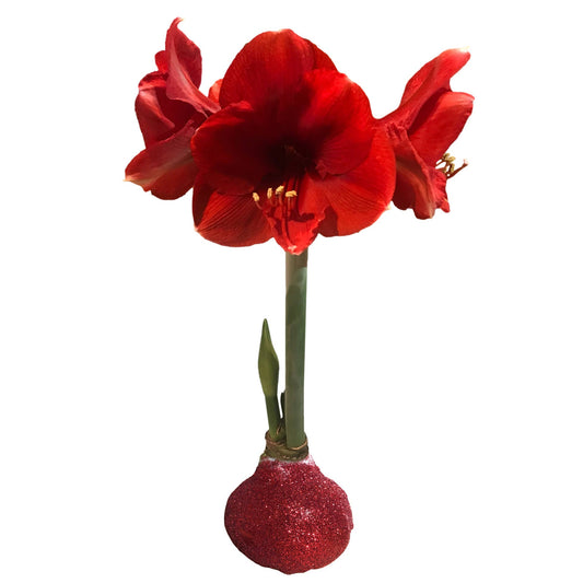 Red Lion Red Glitter Base 36+ Case Of 18
