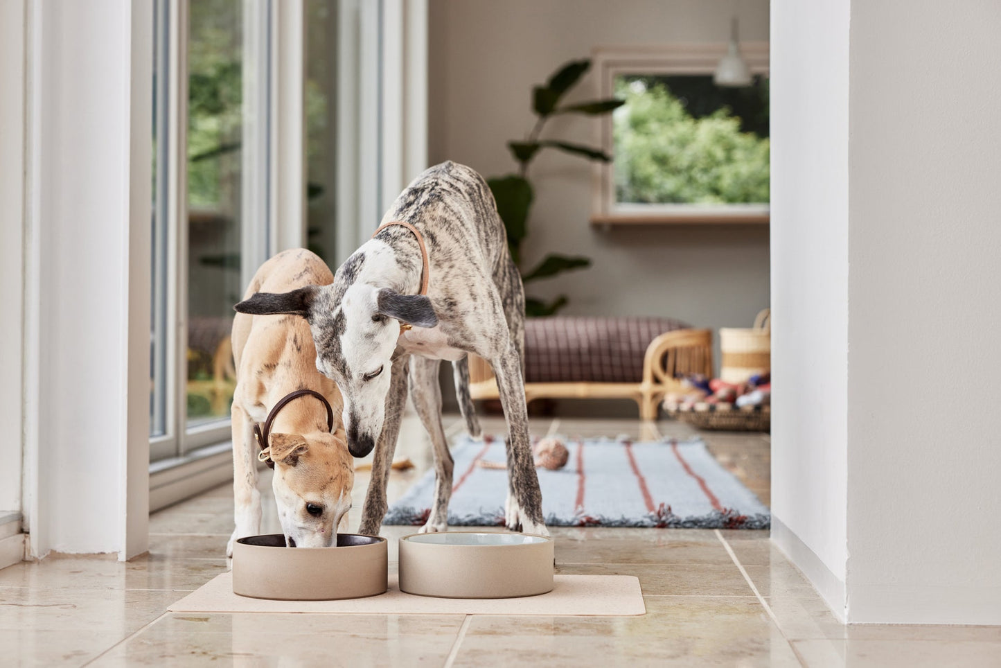 Sia Dog Bowl Rose - Medium