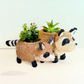 Baby Raccoon Planter - Handmade Planter | LIKHÂ