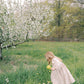 Willow Dress