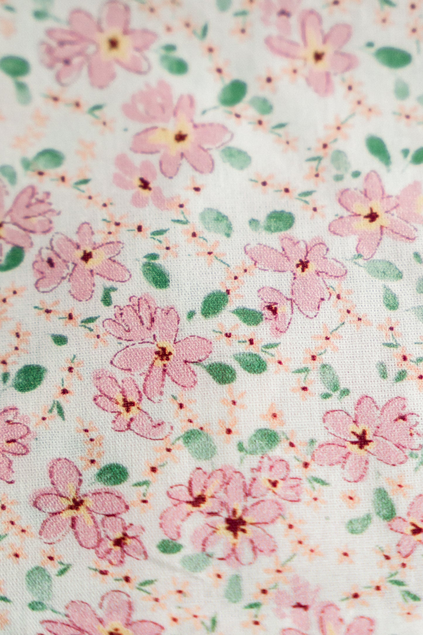 Vintage-Inspired Floral Pouch- Daisy & Clementine