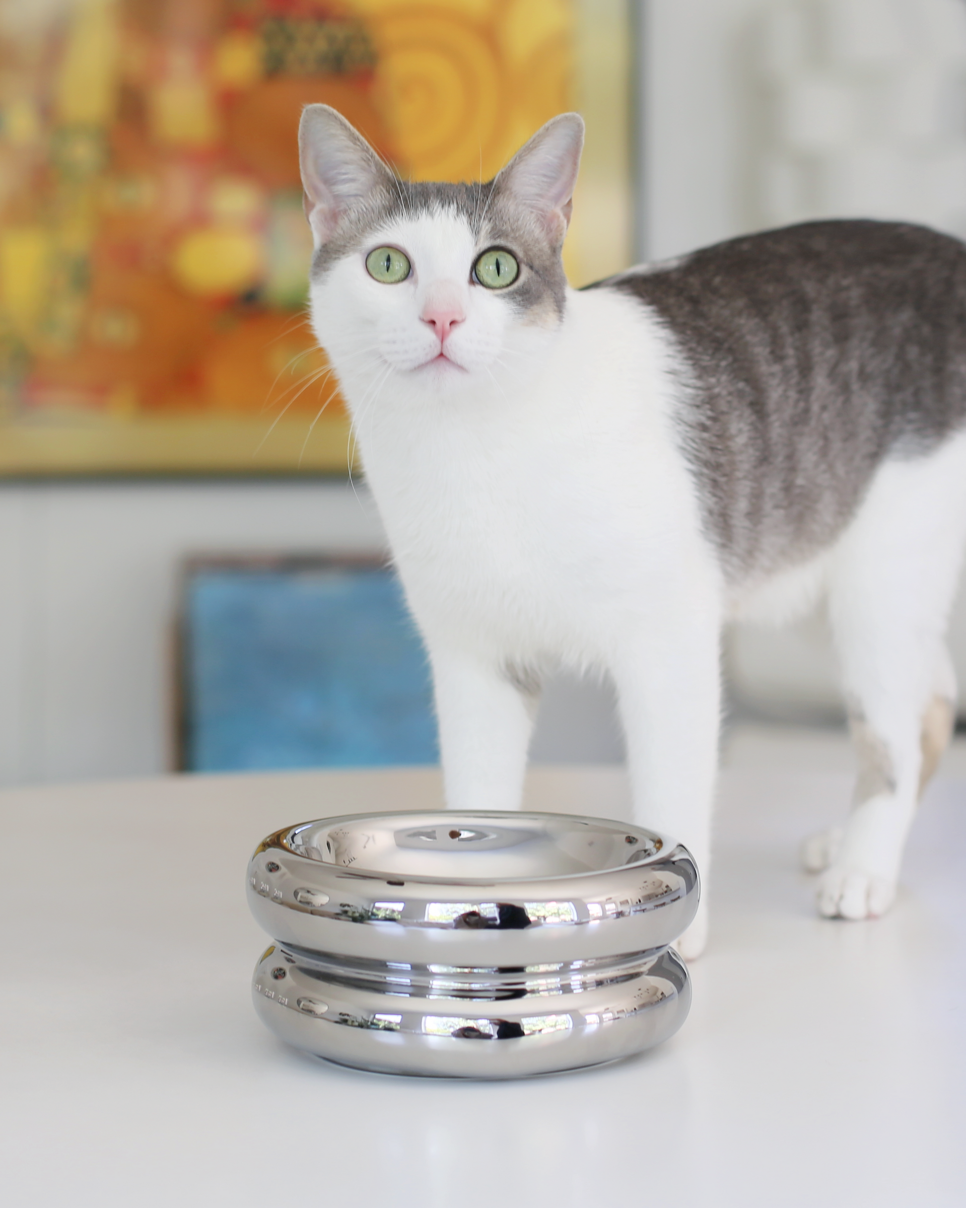 Elevated Halo in Chrome