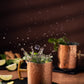 Copper Moscow Mule Mugs (Set of 2 in gift box)