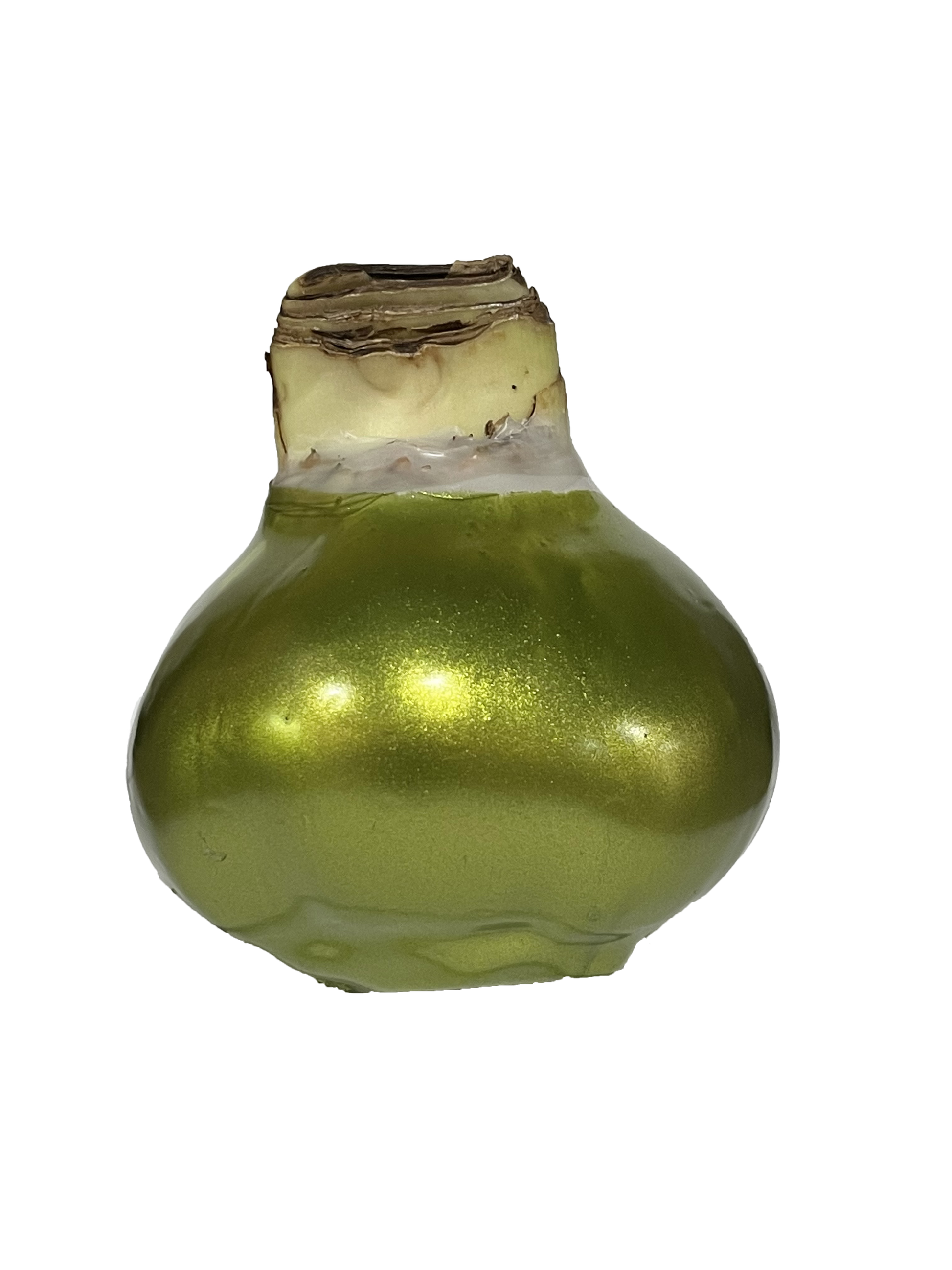 Mixed Case Lacquer Bulbs 18/Case