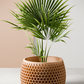 Honeycomb Planter