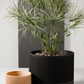 SAKURA Planter