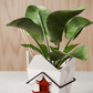 Chinese Takeout Planter