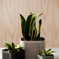 STACK Planter